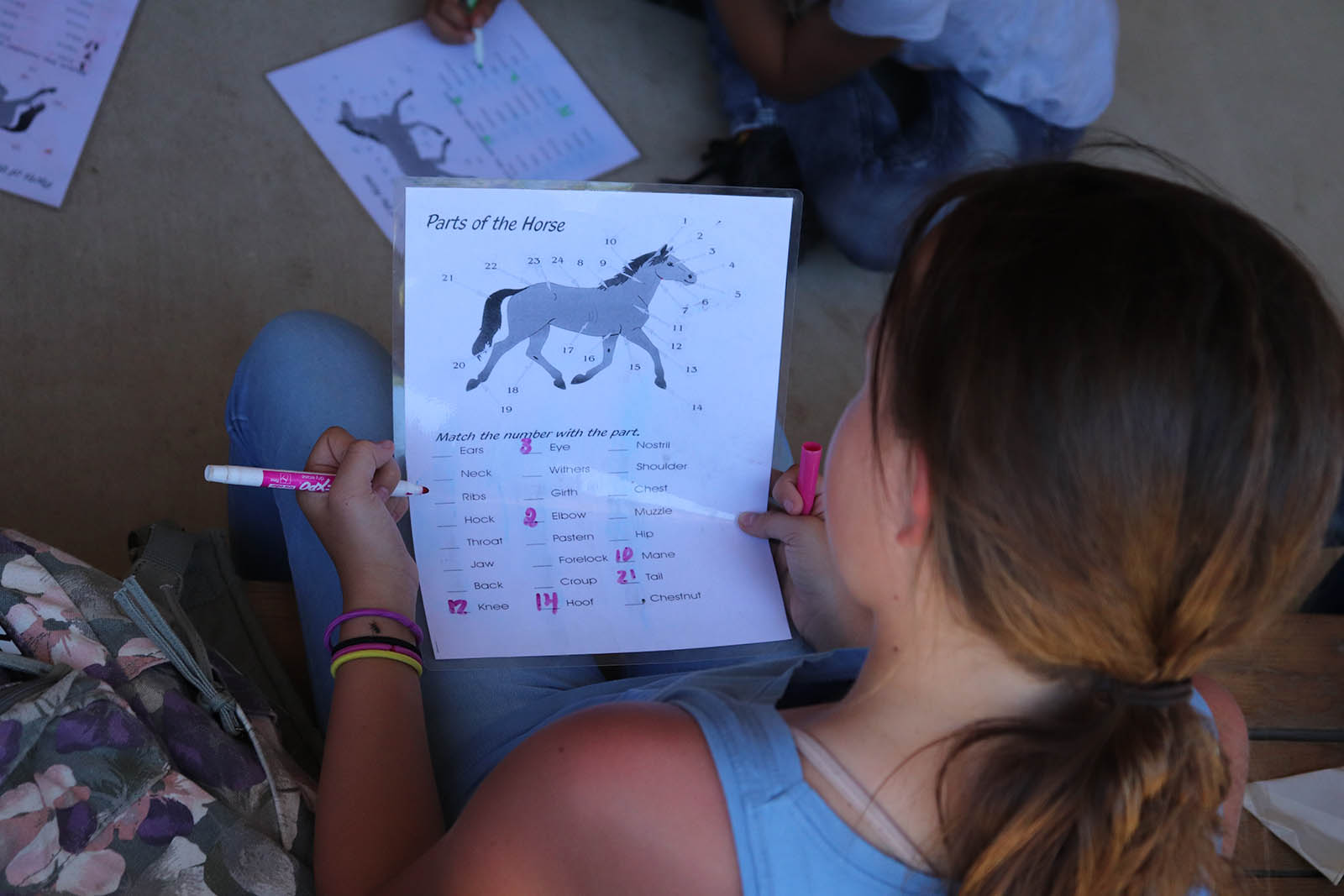 Girl filling out worksheet about parts of a horse